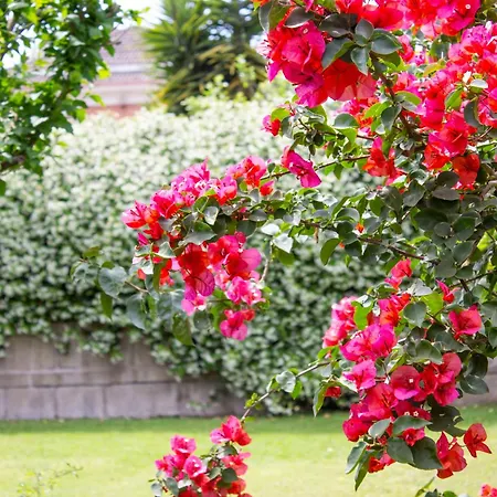 Ninfea Wonderful Garden, Business & Relax * Infernetto